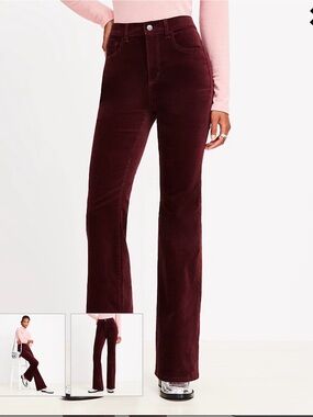 LOFT Slim Flare Velvet Pants